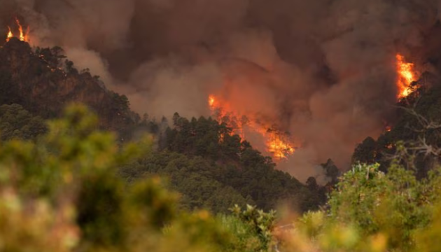 Пожежа на Тенерифе знищує чверть лісів острова