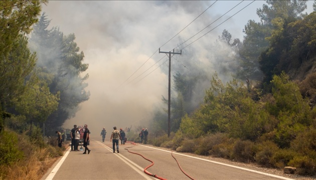 На сході Греції другу добу вирує масштабна лісова пожежа