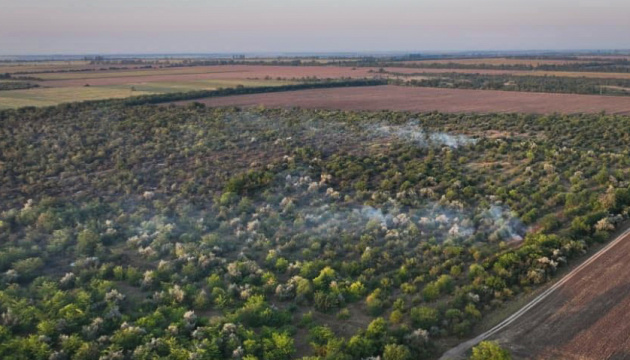 На Миколаївщині майже добу гасили пожежу в Андріївському лісі 