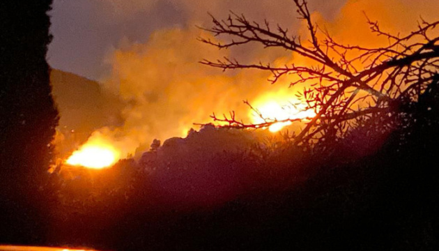 На острові Ельба через лісову пожежу евакуювали майже 700 людей