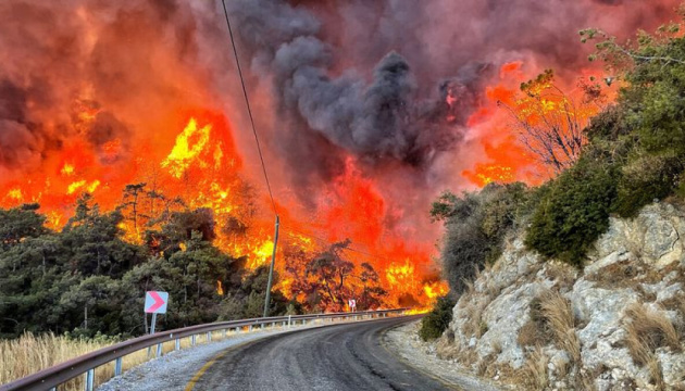 У Туреччині через лісову пожежу евакуювали дев'ять сіл та закрили протоку Дарданелли