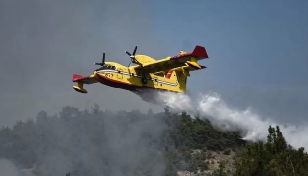 Масштабні лісові пожежі у Греції: затримали 79 підозрюваних у підпалах