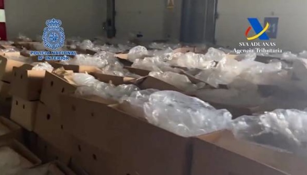 Іспанська поліція знайшла рекордну партію кокаїну в контейнері з бананами 