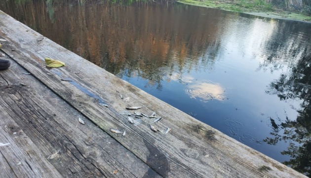 У річці на Полтавщині зафіксували масовий мор риби