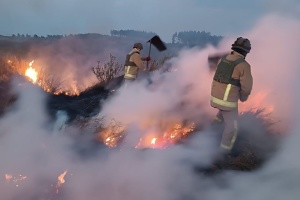 У Куп'янському районі від російського обстрілу спалахнула пожежа в полі