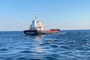 First ship with Ukrainian grain arrives in Turkey under temporary corridor