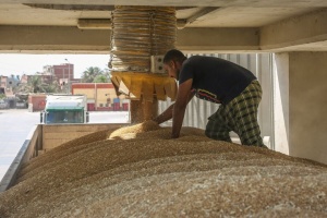 Єгипет веде переговори про купівлю мільйона тонн російської пшениці - Bloomberg