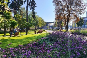 Біля станцій метро «Лук’янівська» та «Дорогожичі» демонтують МАФи