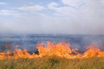 Naturschutzgebiet Askanija-Nowa: Etwa 7000 Hektar in Brand
