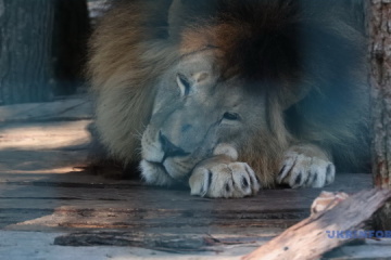 The Ecopark outside Kharkiv: recovering after an ecocide