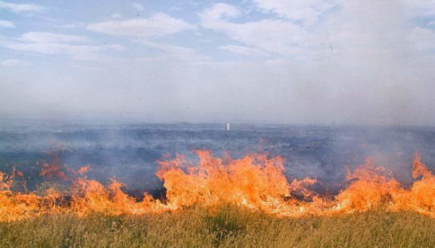 У захопленому заповіднику «Асканія Нова» виникла пожежа - палає близько 7 тисяч гектарів
