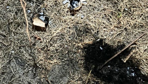 На Житомирщині через спалах невідомого предмета постраждав підліток