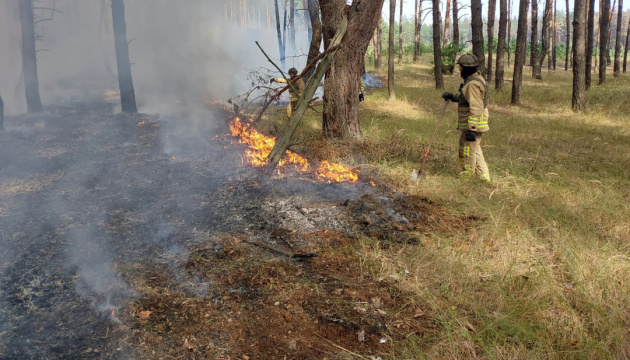 У Куп’янському районі через обстріл згоріли 5 гектарів лісу