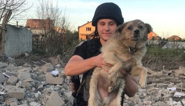 Помер собака, який постраждав унаслідок ракетного обстрілу Сум