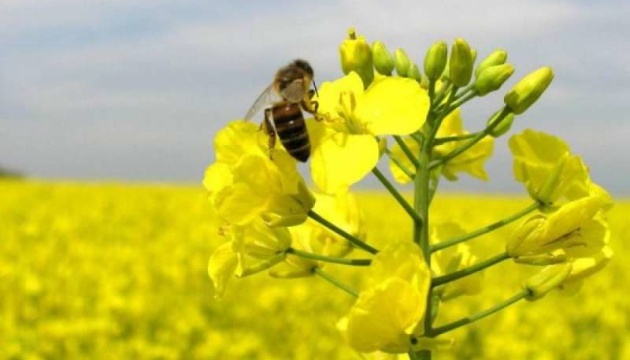 Зеленський підписав євроінтеграційний закон про контроль за ГМО в Україні