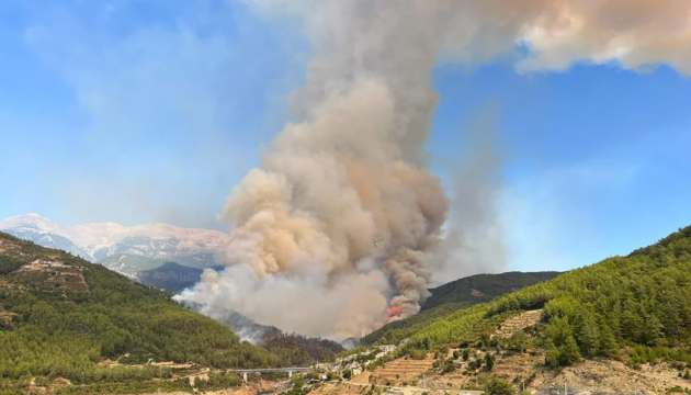 В Анталії через лісову пожежу евакуювали людей