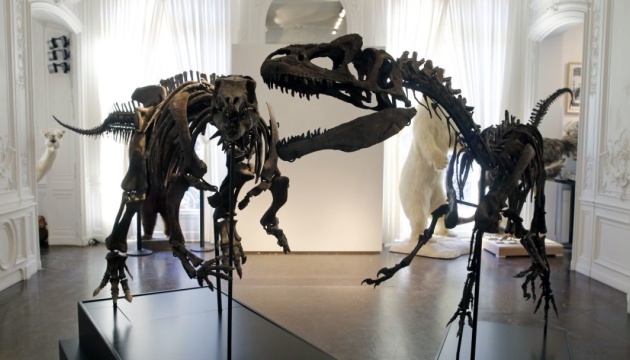 На аукціон у Парижі виставляють скелет динозавра, якому 150 мільйонів років