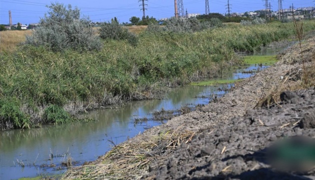 Екоцид на Запоріжжі: загарбники руйнують береги ріки Молочної