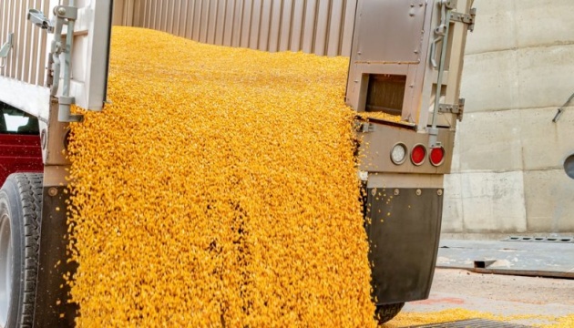 Україна хоче уникнути судової тяганини в рамках СОТ щодо заборони імпорту зерна - Мінекономіки