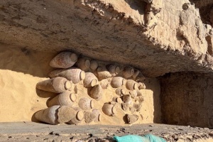 В Єгипті знайшли глечики з вином витримкою близько п'яти тисяч років