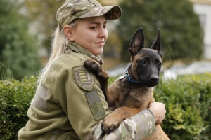 На Закарпатті виховуватимуть собак-терапевтів для ветеранів війни