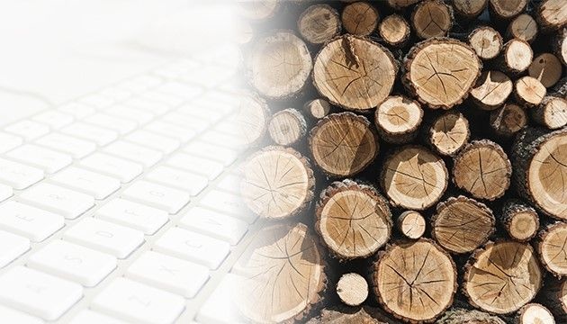 УУБ: Деякі учасники ринку деревини не підтримують його прозорість та рівність прав УУБ: Деякі учасники ринку деревини не підтримують його прозорість та рівність прав
