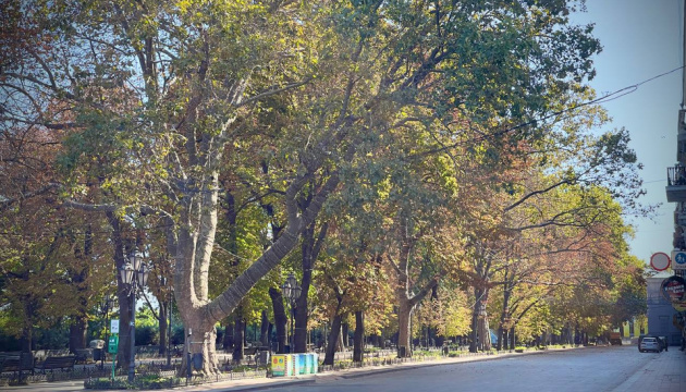 В Одесі для пішоходів відкриють Приморський бульвар