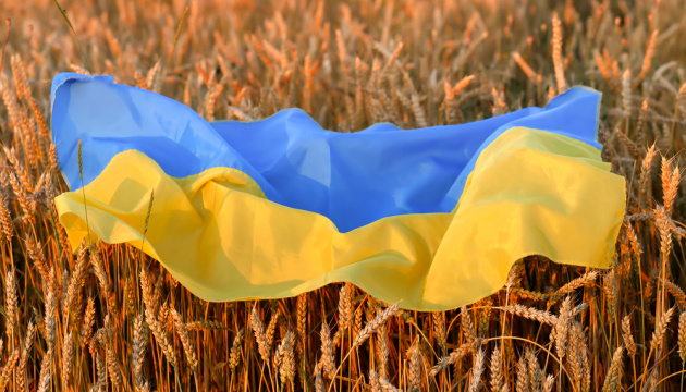 Другий саміт Grain from Ukraine відбудеться наприкінці листопада 