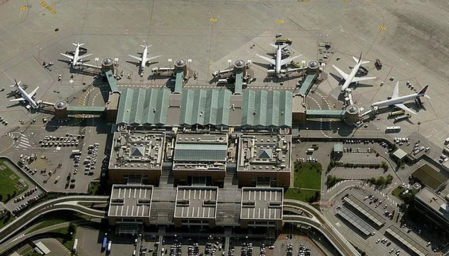 У Венеції закривали аеропорт через нашестя чайок