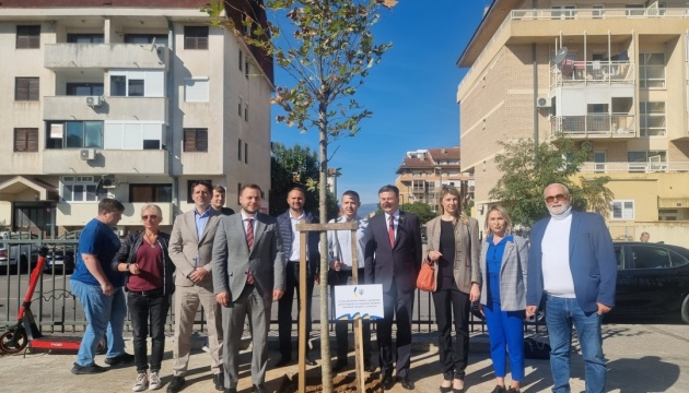 У столиці Чорногорії висадили дерево вдячності від української громади
