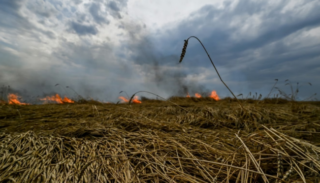 Russia commits 2,500 environmental crimes in Ukraine - Economy Minister