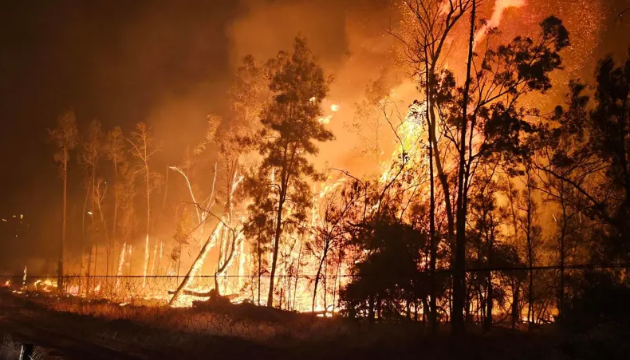 В Австралії вирують понад 50 лісових пожеж, є жертви