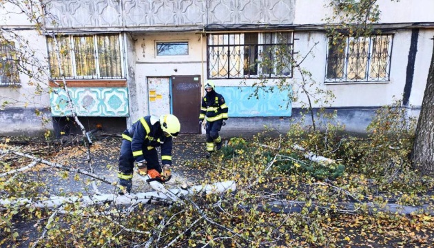 У Києві через падіння дерев загинули двоє людей, семеро - поранені