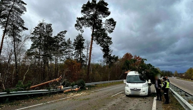 Ураганний вітер: українців закликають відкласти дальні поїздки через негоду