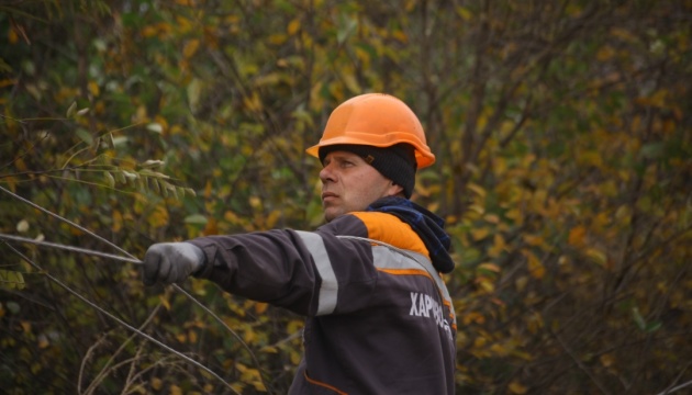 Негода повалила дерева на Прикарпатті, Тернопільщині та Харківщині, низка споживачів без світла