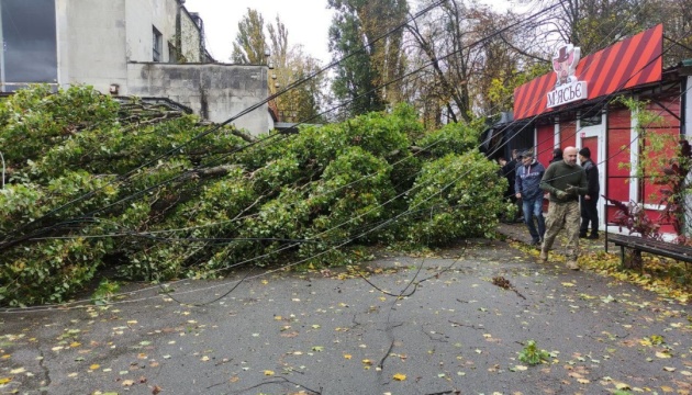 У Києві 28 жовтня зафіксували рекордної швидкості вітер
