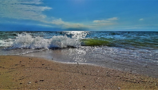 Азовське море стало значно солонішим через екоцид росіян у Маріуполі - Андрющенко
