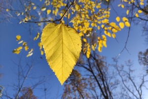 В Україні завтра без опадів, вдень до +28°