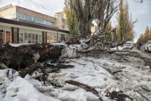 Негода на Одещині: у ДСНС розповіли про загиблих і поранених