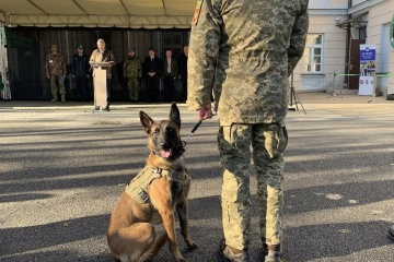 EU hands over second group of mine-sniffing dogs, metal detection drones to Ukraine