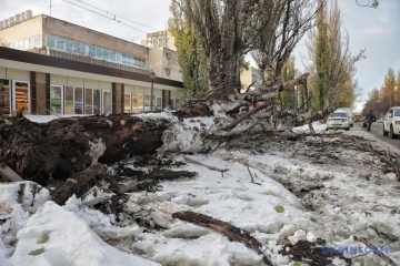ウクライナ南部オデーサ州、悪天候で住民５名死亡