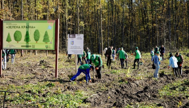 На Житомирщині висадили «Ліс Пам‘яті» на честь загиблих під час війни спортсменів