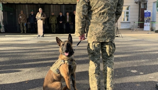EU hands over second group of mine-sniffing dogs, metal detection drones to Ukraine