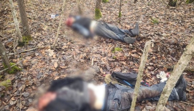 Two men killed in enemy shelling of Sumy region