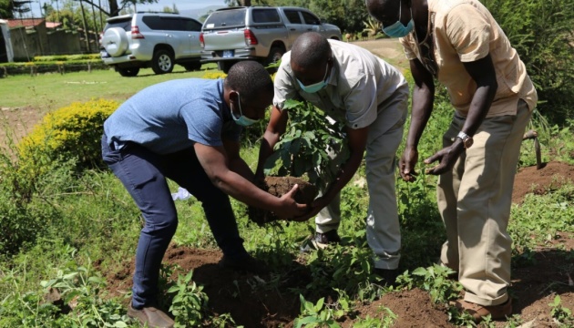 У Кенії оголосили вихідний, щоб посадити 100 мільйонів дерев