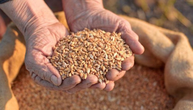 Ukraine exports of cereals, legumes stand at almost 11M tons