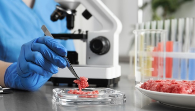 Італія заборонила продаж м’яса, вирощеного у лабораторії