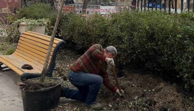 Біля Одеського художнього музею висадили дерева в пам’ять про загиблого на війні Бориса Айзенберга