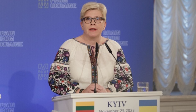 Šimonytė: Lituania asigna 2 millones de euros a la iniciativa 