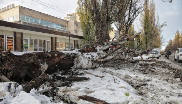Унаслідок негоди на Одещині загинули п'ятеро осіб - Президент